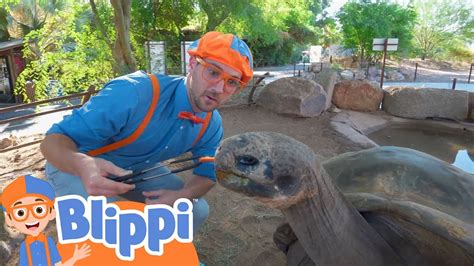 blppi|blippi animals.